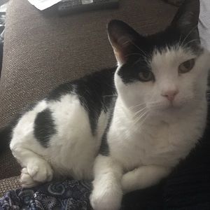 Meet your Posher, Lidia